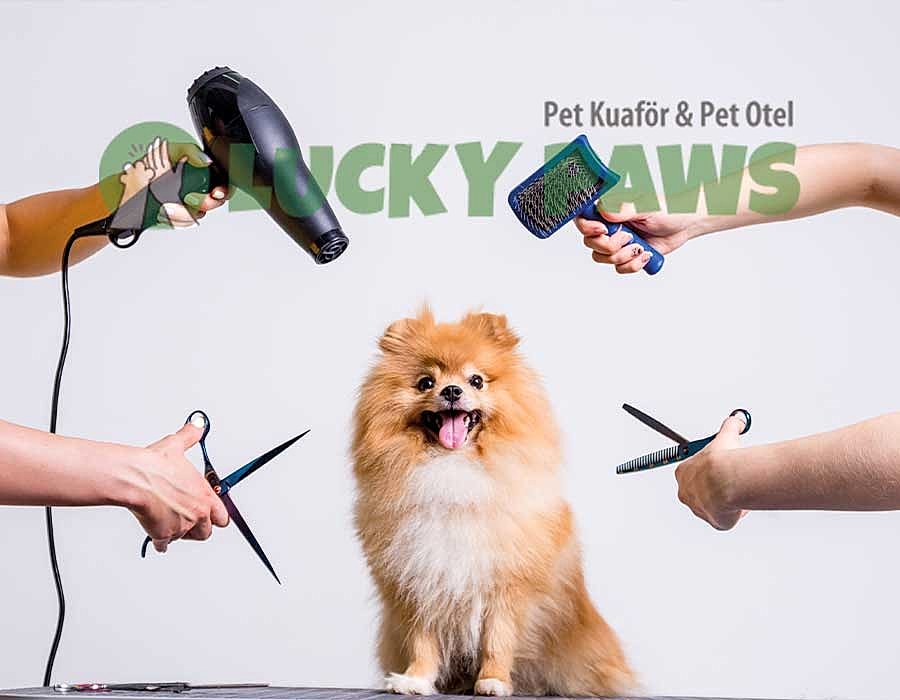 Pet Kuaför