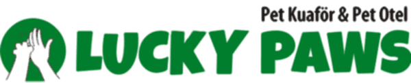 Lucky Paws | Pet Otel - Pet Kuaför